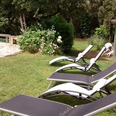 La Bousquatiere Bed and Breakfast Piolenc Exteriör bild
