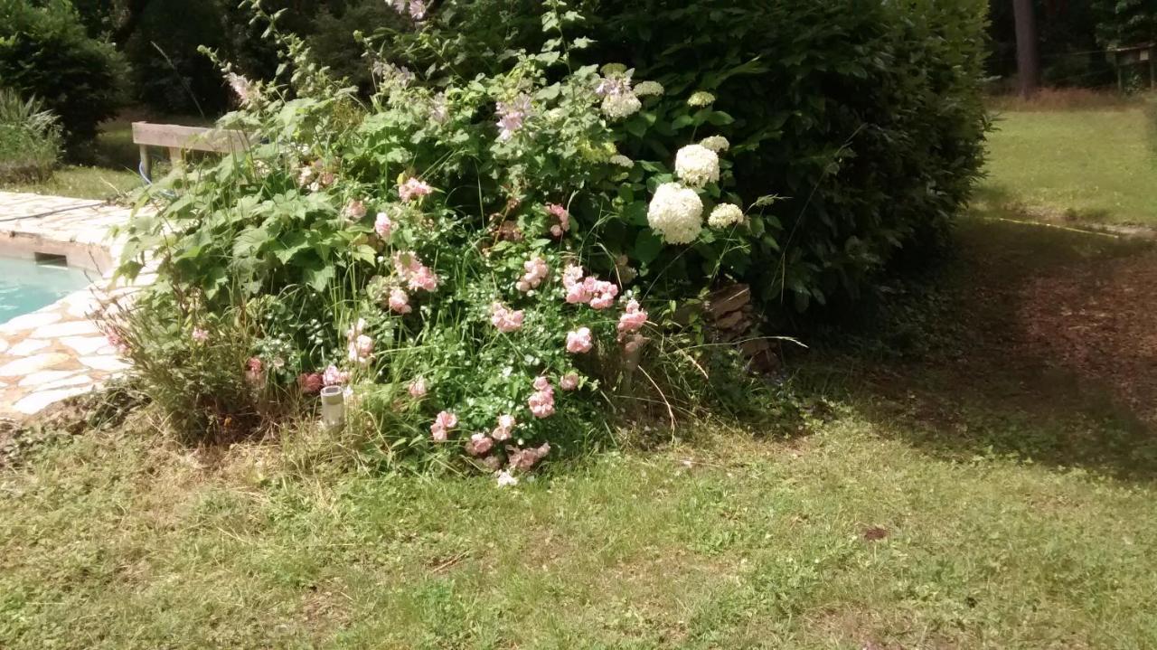 La Bousquatiere Bed and Breakfast Piolenc Exteriör bild